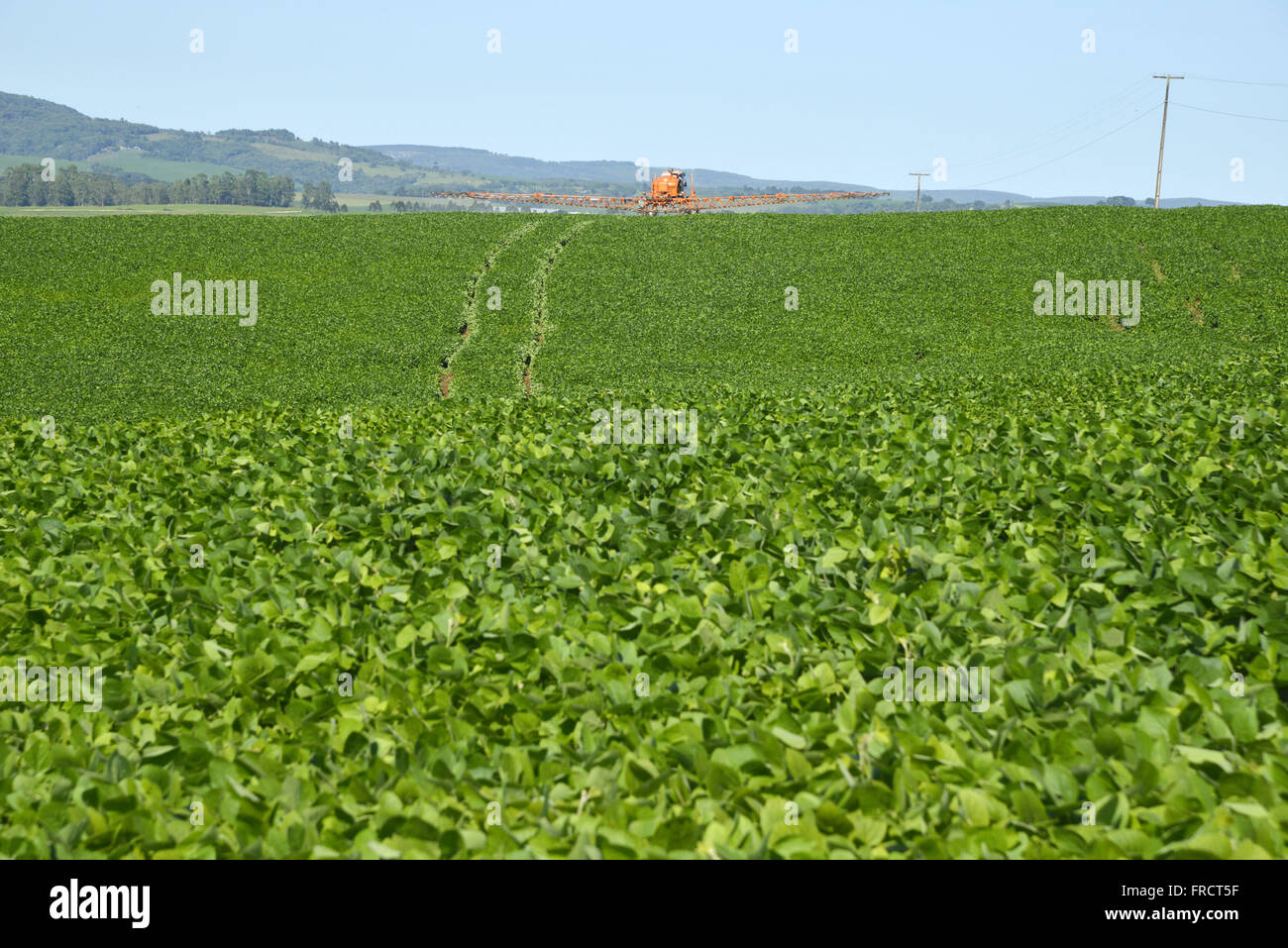 Irrorazione pesticidi macchina nella semina di soia in campagna Foto Stock