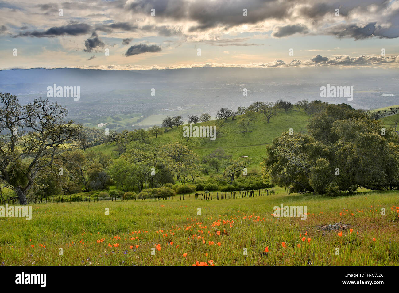 Santa Clara Valley da Giuseppe D. Grant Country Park, California settentrionale Foto Stock