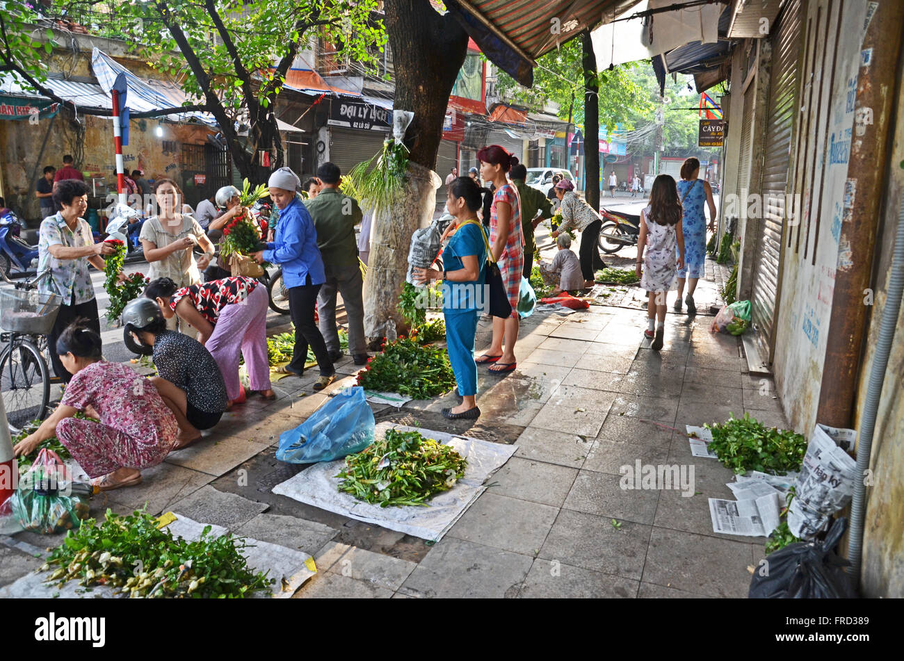 Venditori di fiori nelle prime ore del mattino, Hanoi, Vietnam Foto Stock