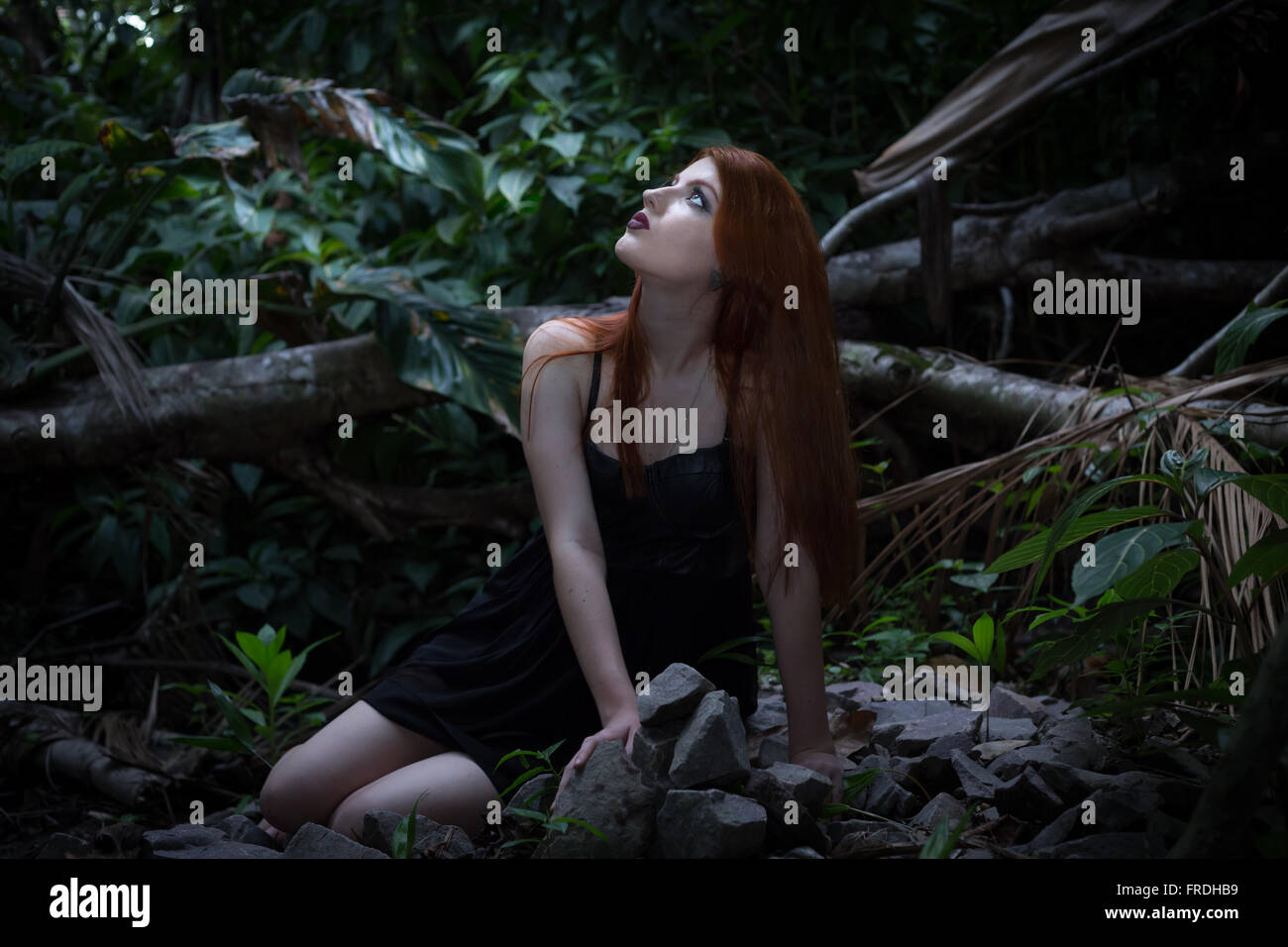 Una ragazza alla ricerca fino al cielo Foto Stock