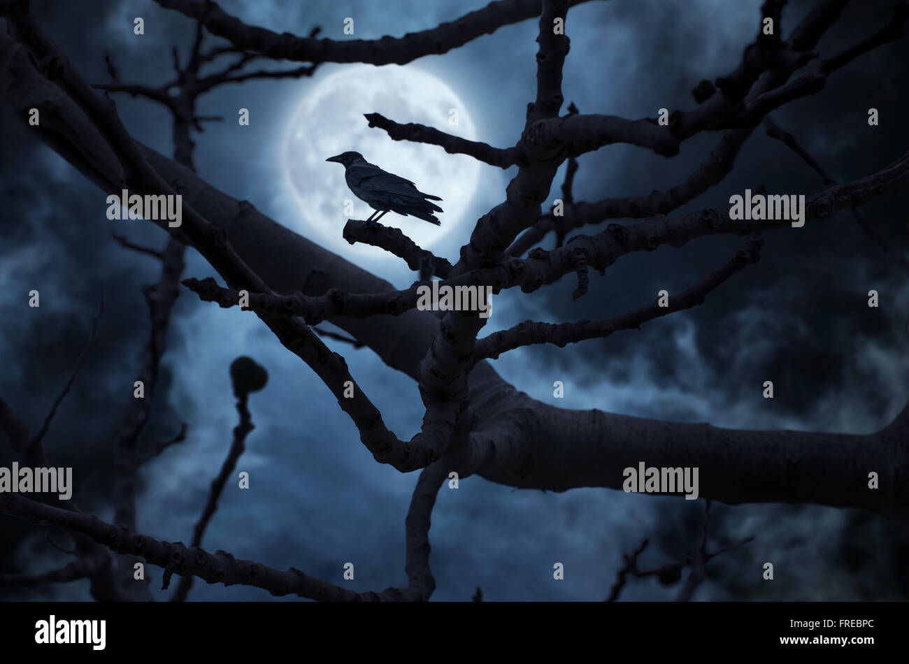 Luna dietro la struttura ad albero e un corvo su di esso. Foto Stock