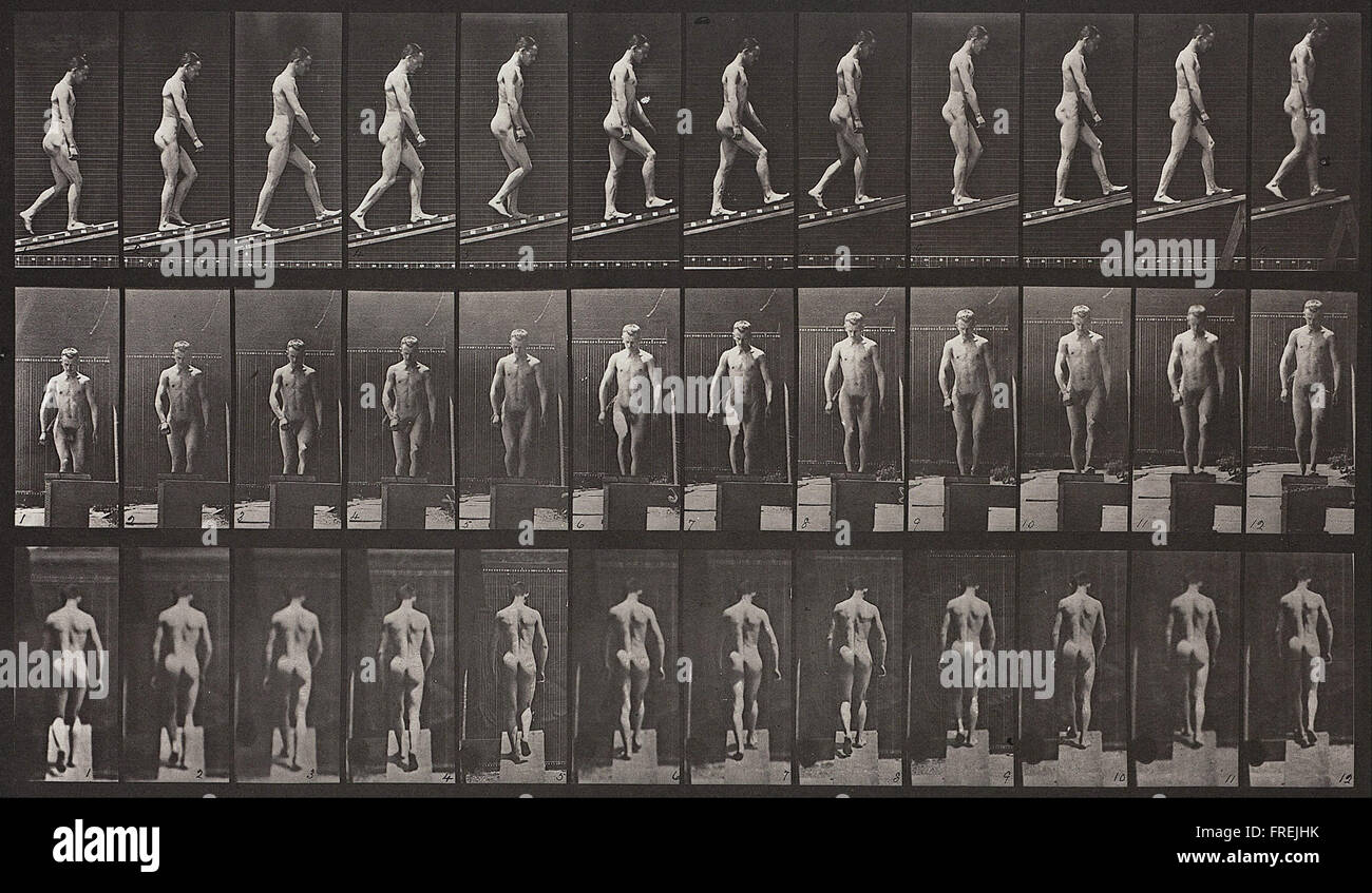 Eadweard Muybridge - Locomozione animale, la piastra 74 Foto Stock