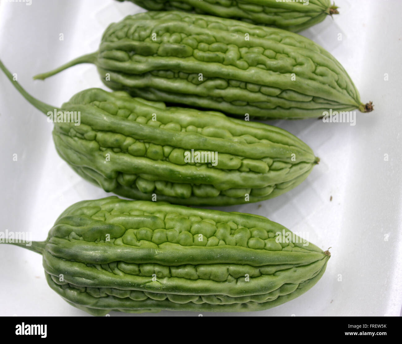 Momordica charantia, PUSA Rasdar karela, bittergourd, cultivar con blunt tornate nervature e tubercoli, succosa e meno amaro Foto Stock