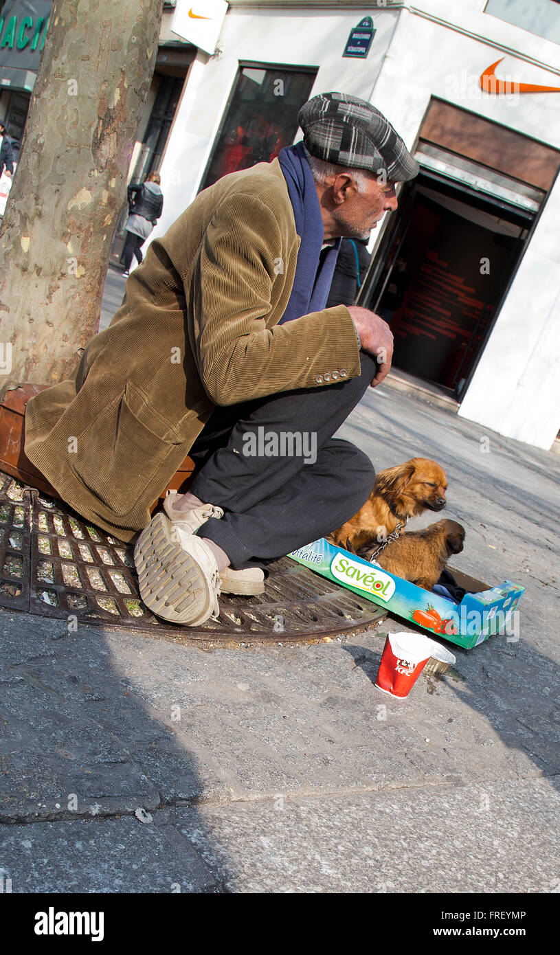 Mendicante Street con i suoi cani in Parigi Francia in inverno Foto Stock