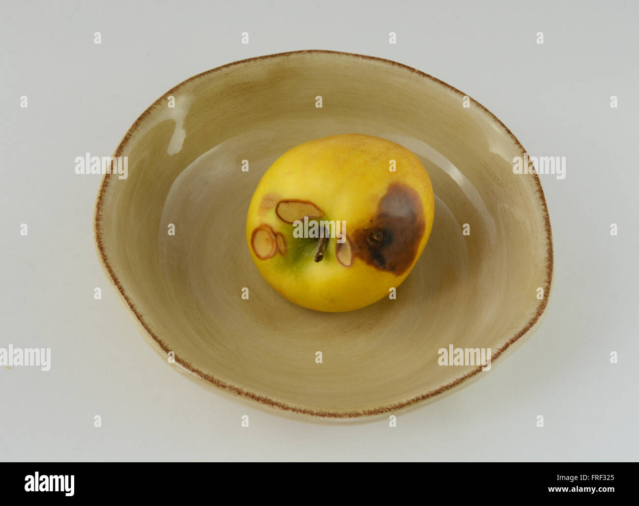 Una bad apple nel recipiente Foto Stock