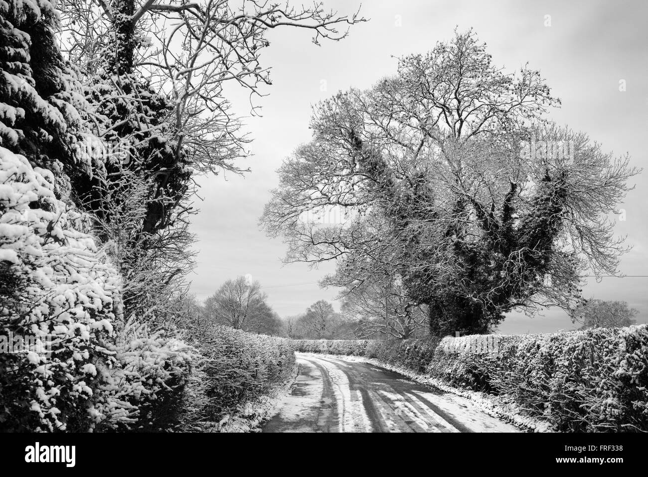 Inverno in corsia chilterns nei pressi di High Wycombe, Buckinghamshire, Inghilterra Foto Stock