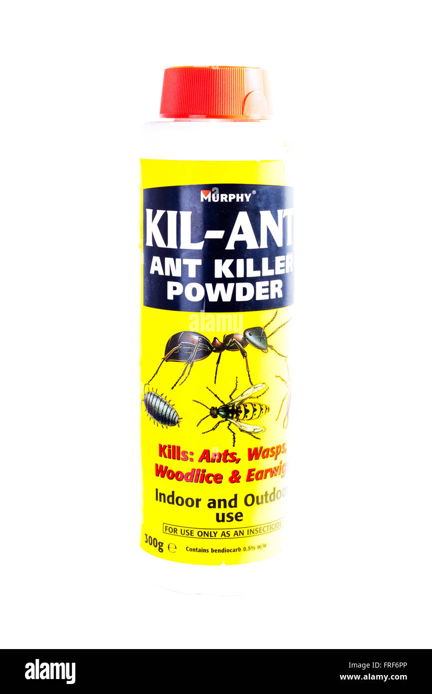 Polvere di Ant killer uccide le formiche vespe woodlice earwigs insetti sterminatore di insetti logo prodotto marca intaglio tagliare lo sfondo bianco Foto Stock