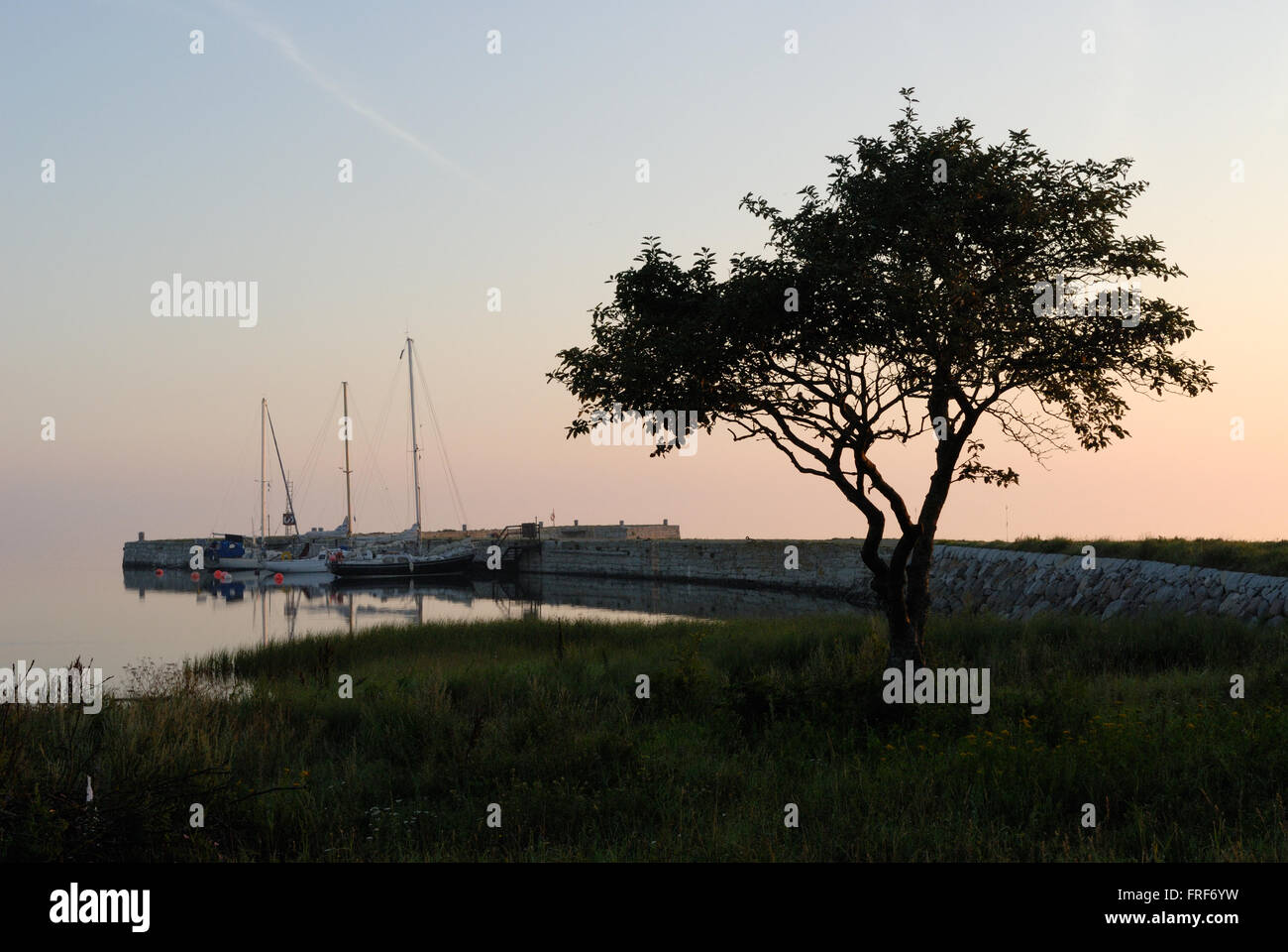 Gotland : isola dei Vichinghi. Gotland è una contea, provincia, comune e diocesi di Svezia; è la Svezia la più grande isola un Foto Stock