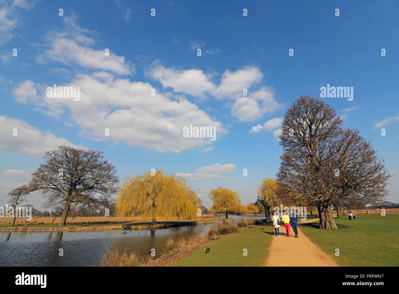 Bushy Park, London, Regno Unito. Xxii Marzo 2016. È stata una bella giornata di primavera in Bushy Park, Londra, come le persone godono di una passeggiata accanto all'Heron Pond. Credito: Julia Gavin UK/Alamy Live News Foto Stock