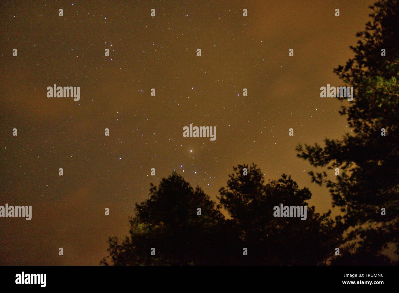 Stelle del cielo notturno in Taiwan Foto Stock