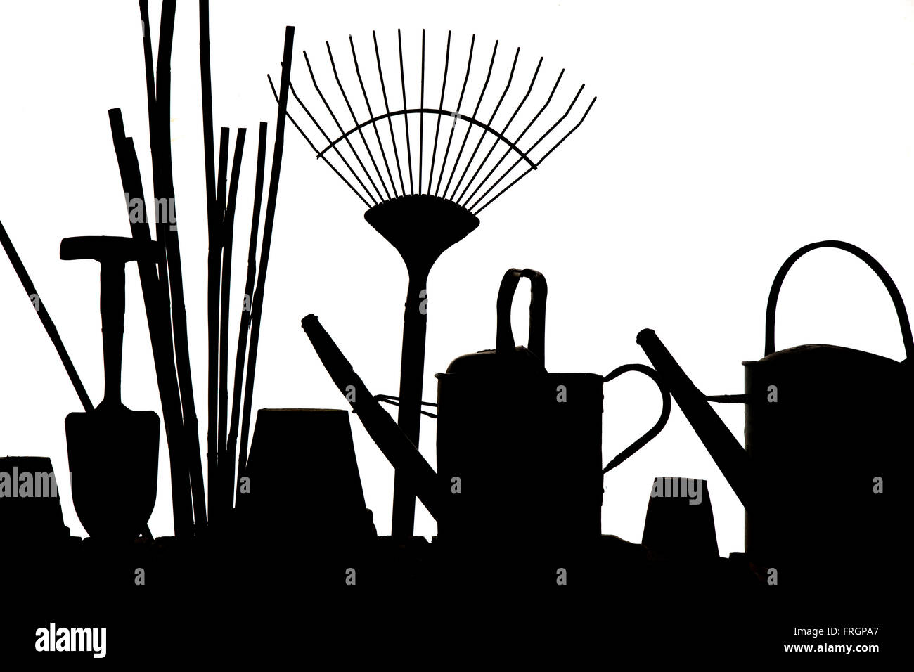 Utensili da giardinaggio in silhouette contro un potting shed finestra Foto Stock