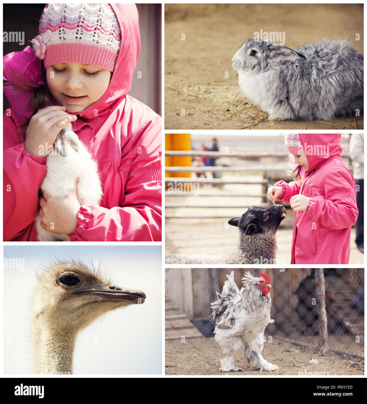 Bambina in una fattoria con animali Foto Stock
