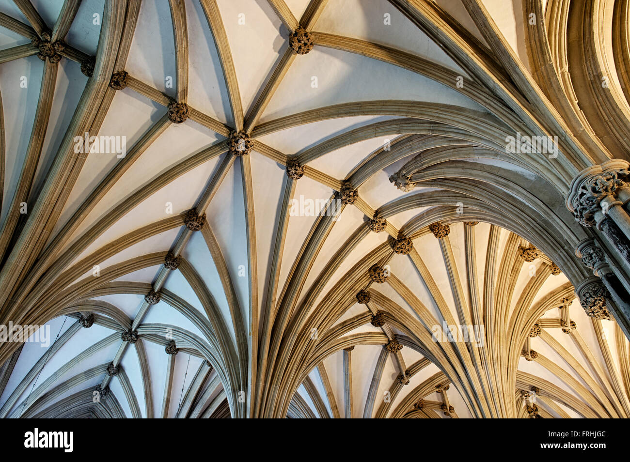 Cattedrale di Wells soffitto a volta. Il Somerset, Inghilterra Foto Stock