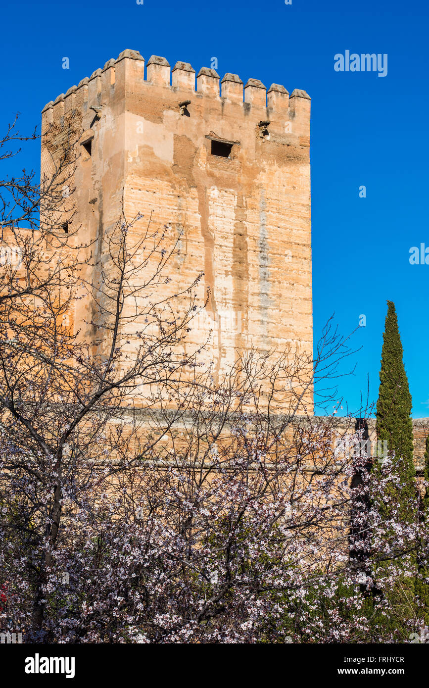 Alcazaba fortezza, Alhambra Palace, Granada, Andalusia, Spagna Foto Stock