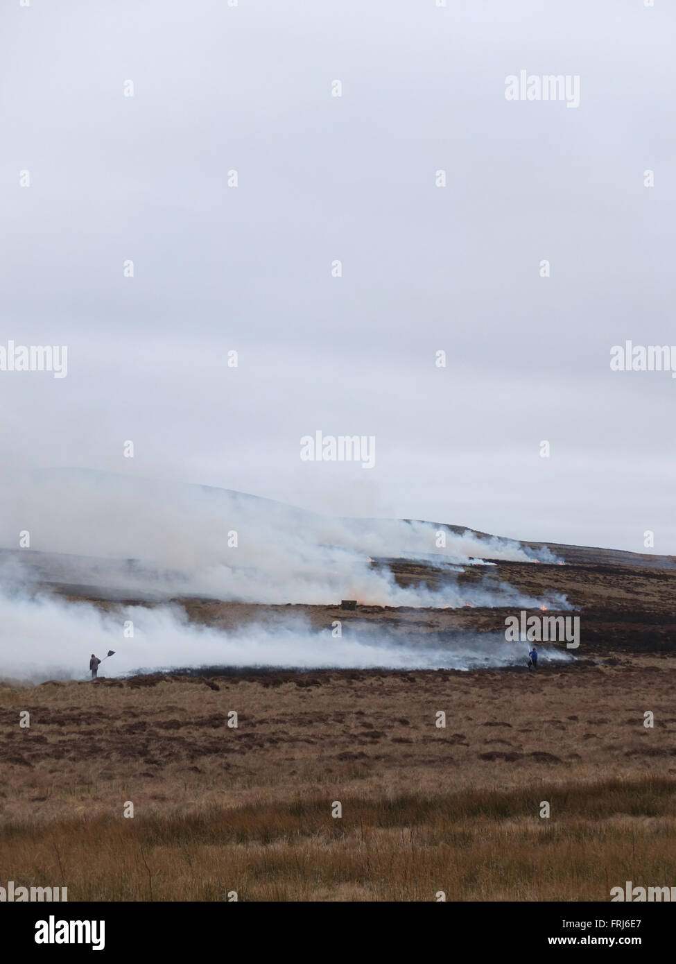 Heather brucia in North Pennines Foto Stock