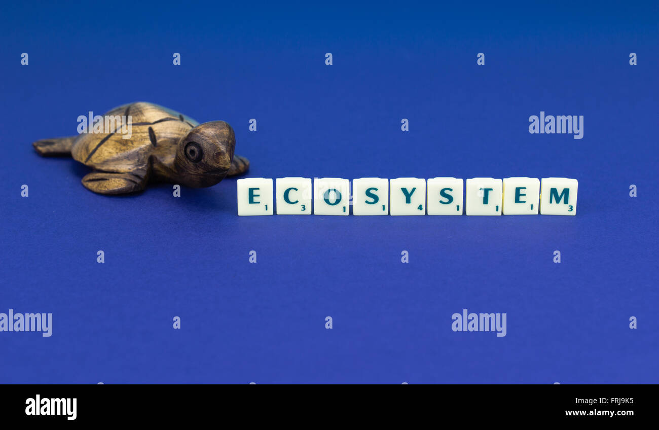Tartaruga in legno con segno di ecosistema su sfondo blu Foto Stock