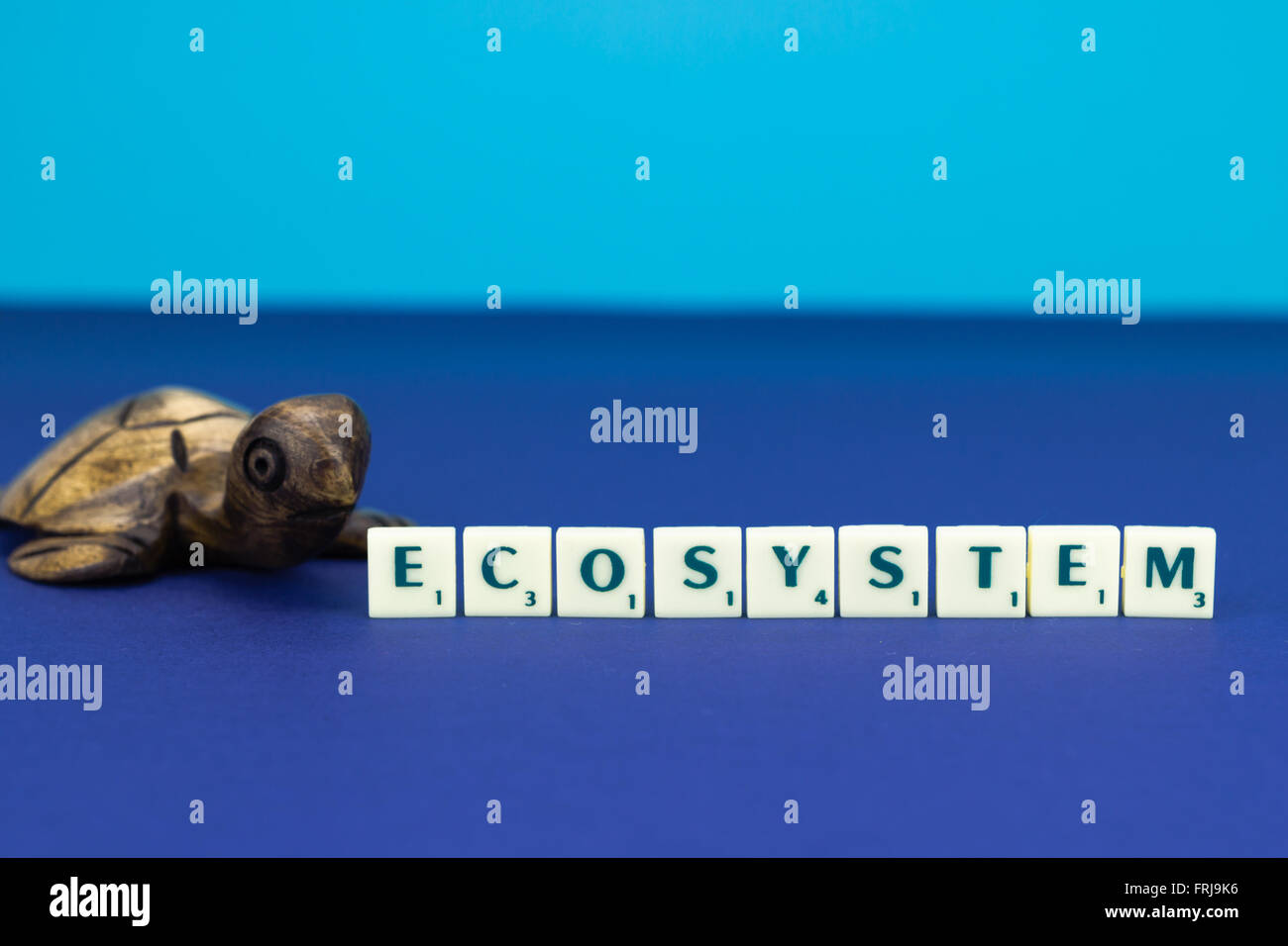 Tartaruga in legno con segno di ecosistema su sfondo blu Foto Stock