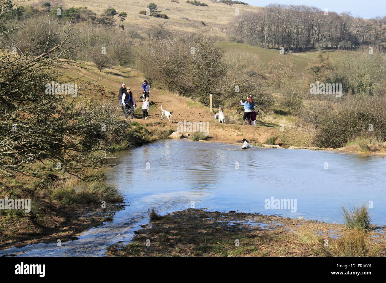 Il Washpool, Fiume Isbourne, Cleeve comune, Winchcombe, Gloucestershire, Inghilterra, Gran Bretagna, Regno Unito, Gran Bretagna, Europa Foto Stock