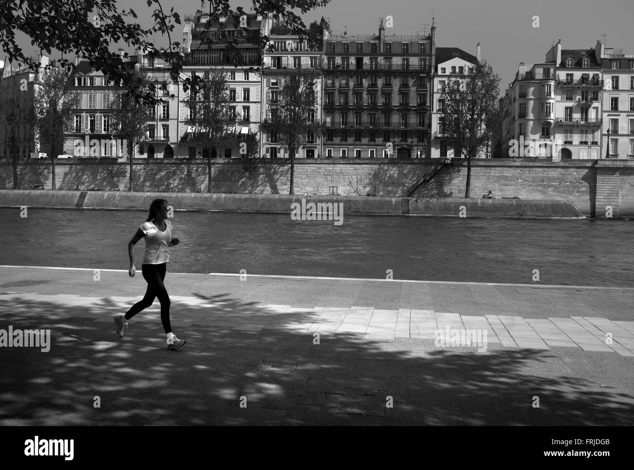 Pareggiatore, Port de la Tournelle, Parigi Foto Stock