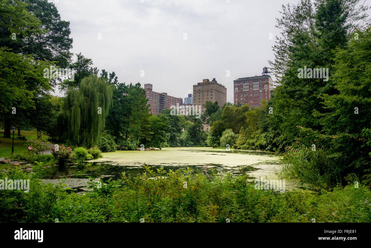 La piscina e il Central Park di New York City, Stati Uniti d'America. Foto Stock