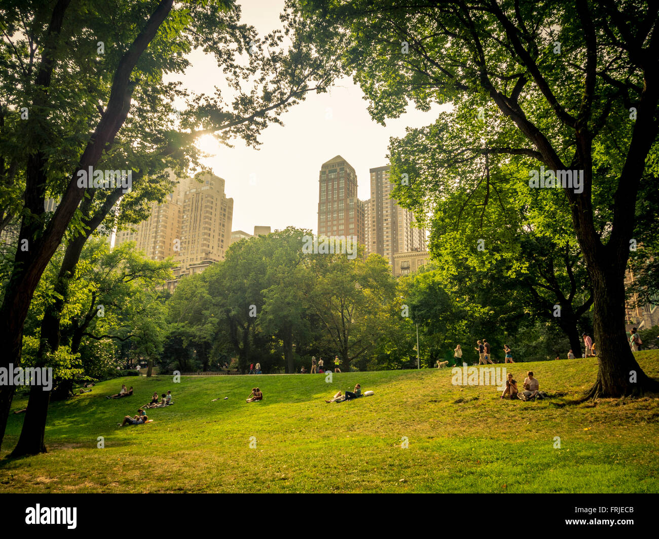 Famiglie relax su erba nel Central Park di New York City, Stati Uniti d'America. Foto Stock