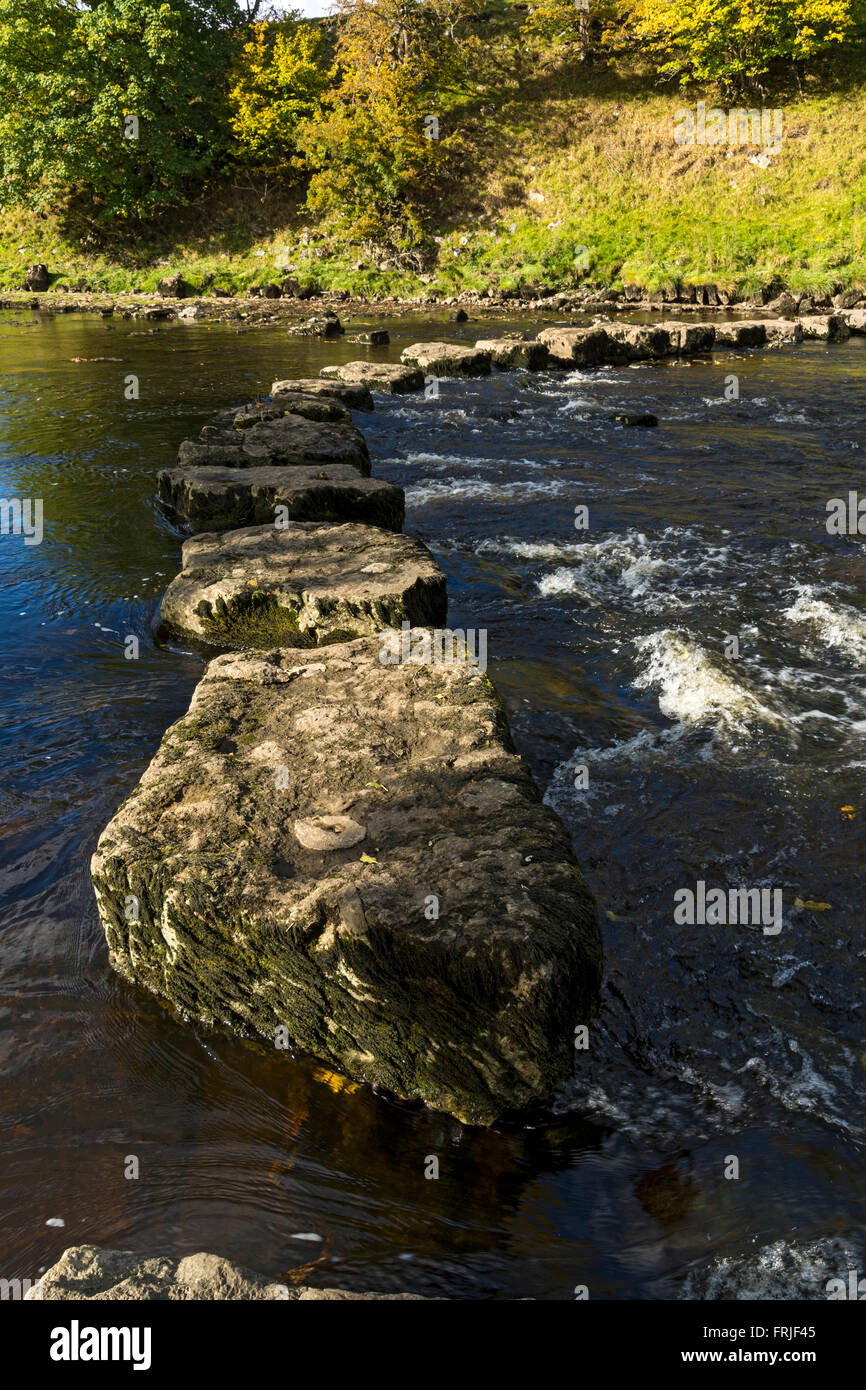 Stony Stoop Lane pietre miliari sul Fiume Ure, vicino Aysgarth, Wensleydale, Yorkshire Dales National Park, England, Regno Unito Foto Stock