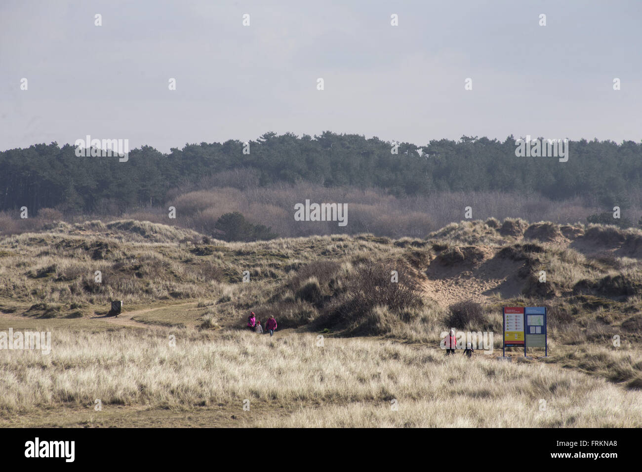 I membri del pubblico potrete crogiolarvi al sole sul primo giorno di primavera, sulla spiaggia di Formby, Formby, Merseyside, il 20 marzo 2016. Foto Stock