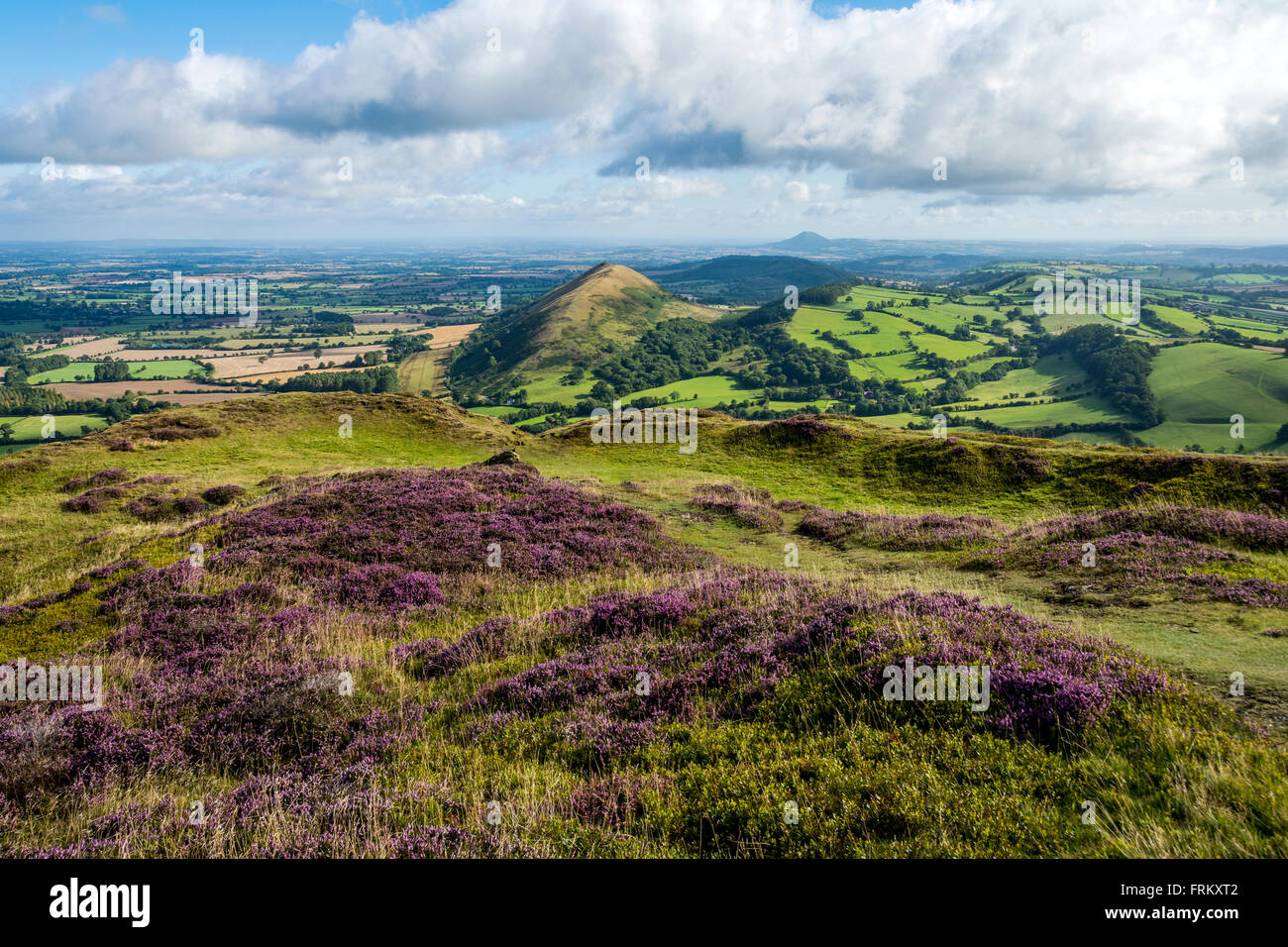 Resti dell'antico colle fortificato sulla cima di Caer Caradoc Hill, vicino a Church Stretton, Shropshire, Inghilterra, Regno Unito Foto Stock