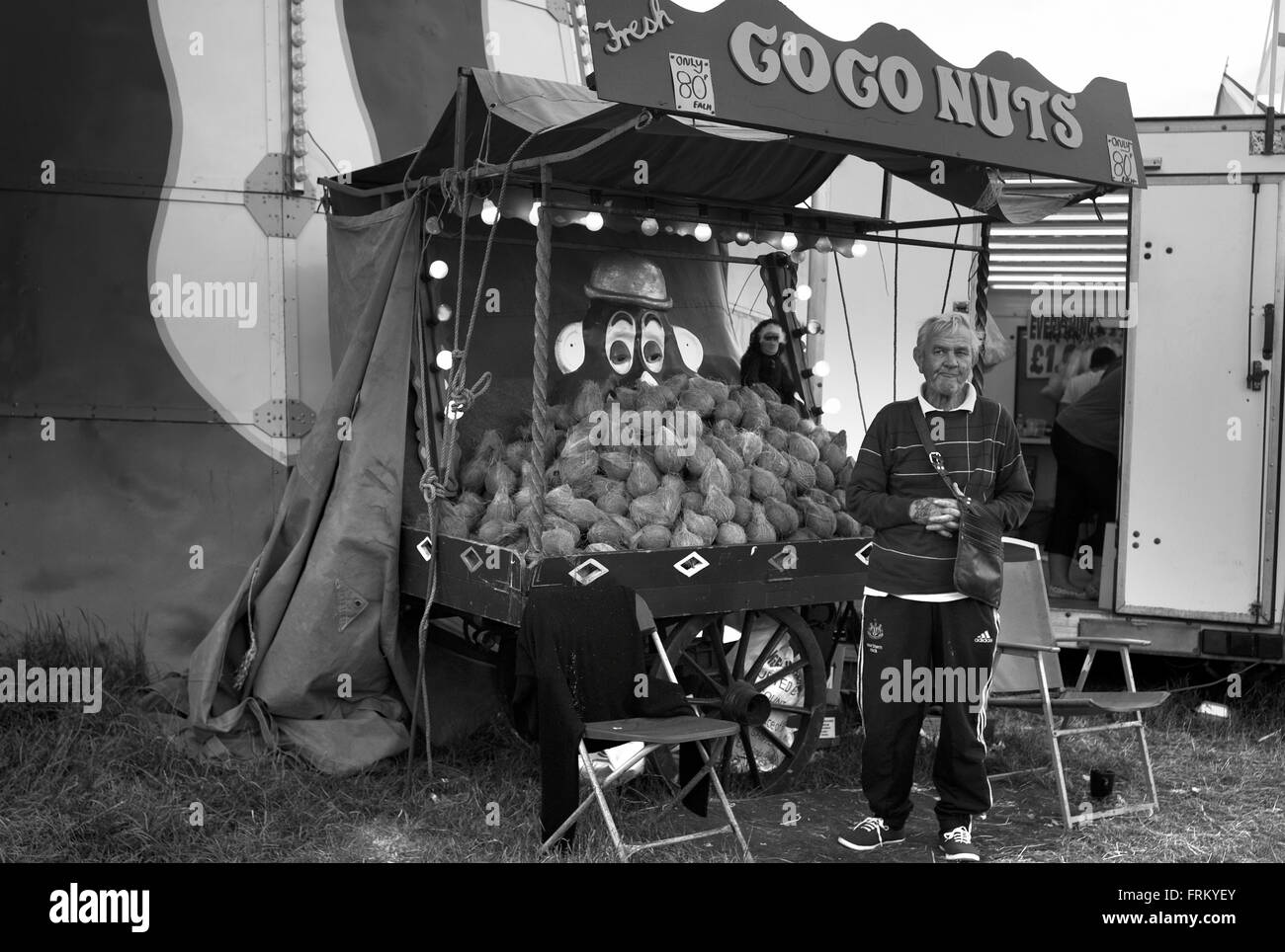 Timido di noce di cocco, il crossing, Città Moor, Newcastle upon Tyne Foto Stock