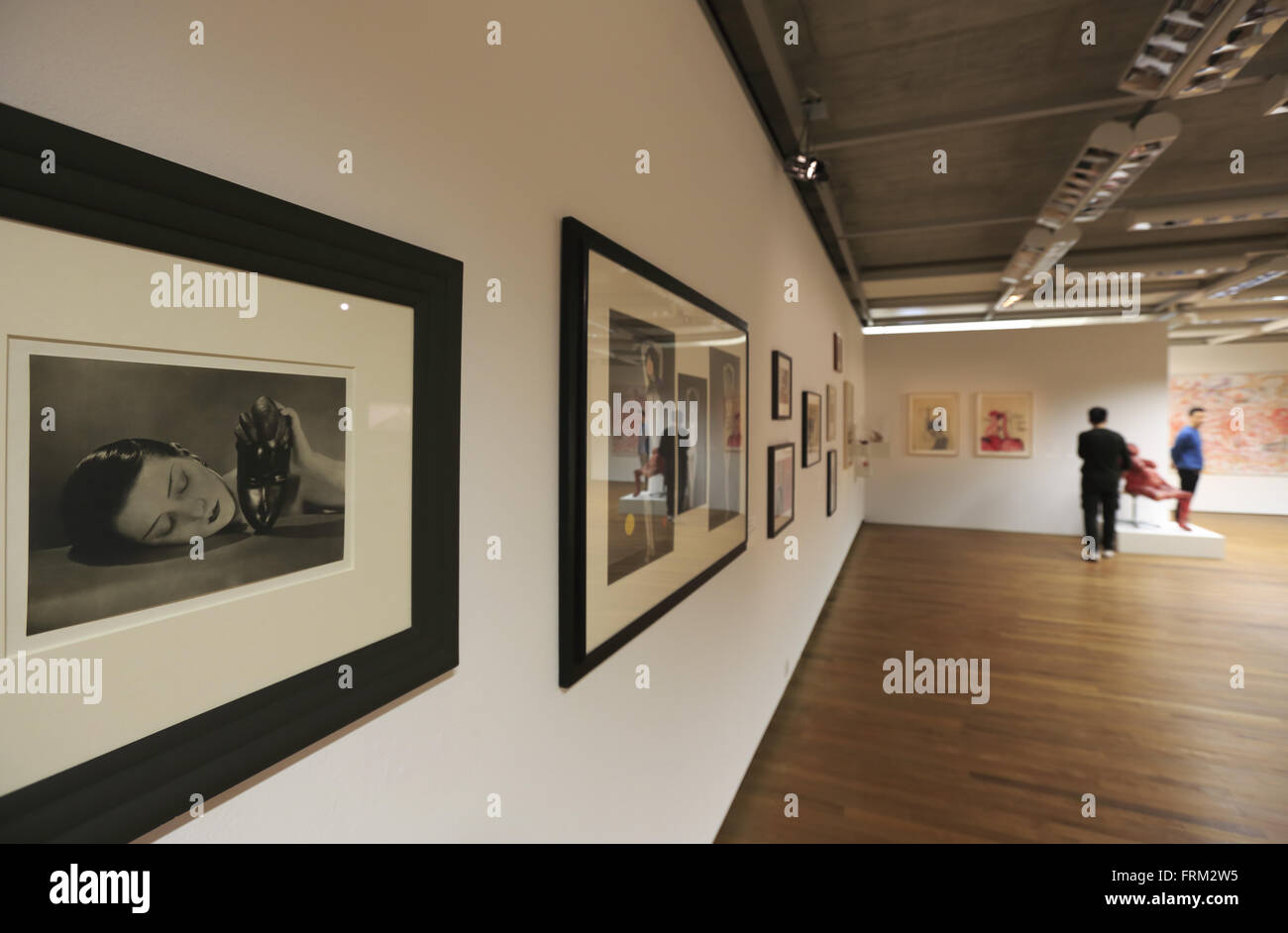 La fotografia mostra nel Kunsthaus di Zurigo Il museo d arte moderna di Zurigo, Zurigo, Svizzera Foto Stock
