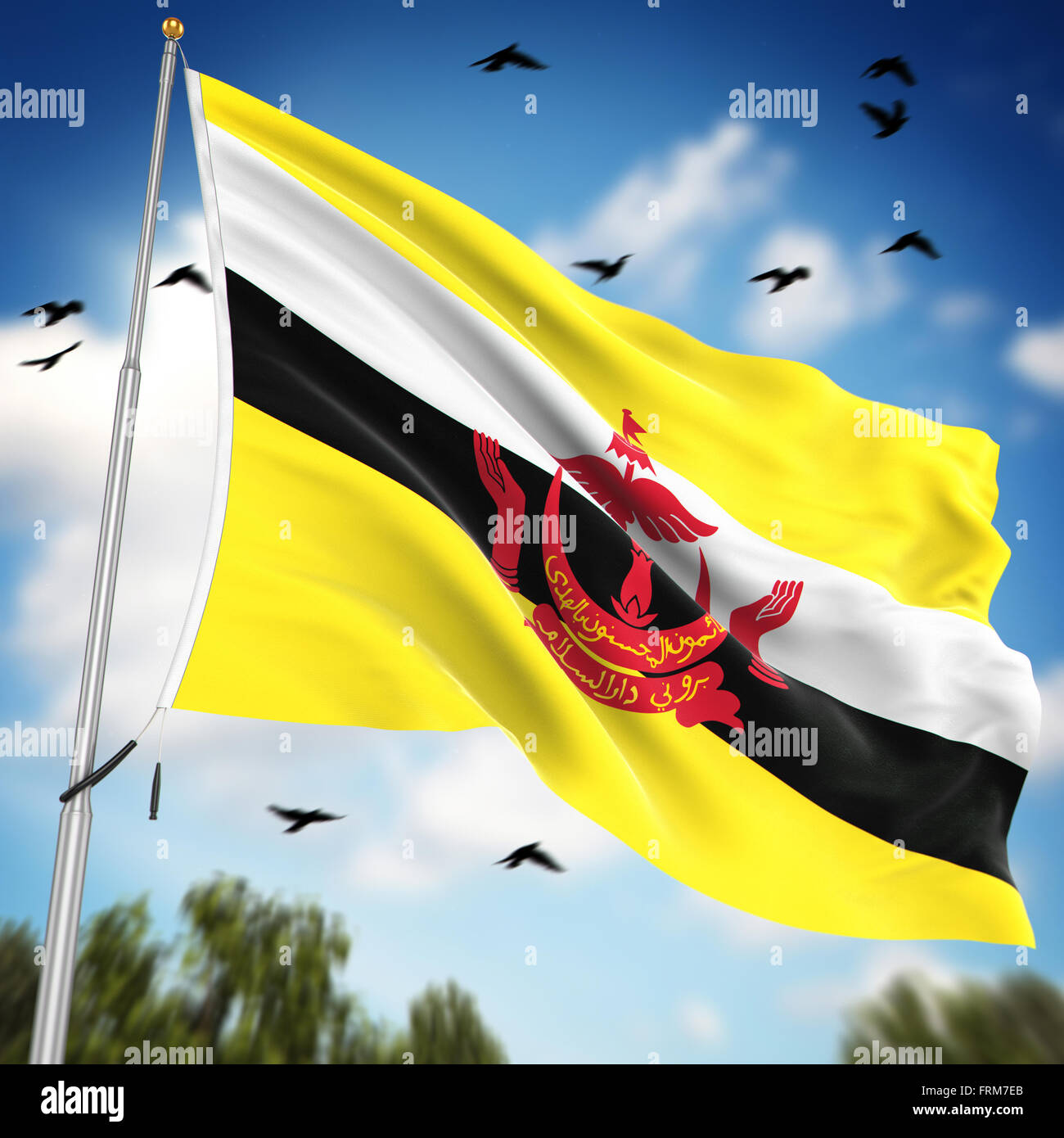 Bandiera del Brunei , questo è un computer generato e l'immagine 3D rappresentata. Foto Stock