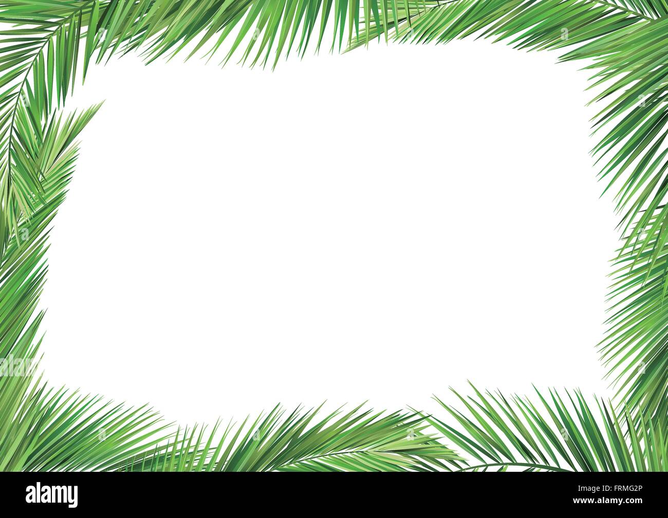 foglie di noce di cocco Illustrazione Vettoriale