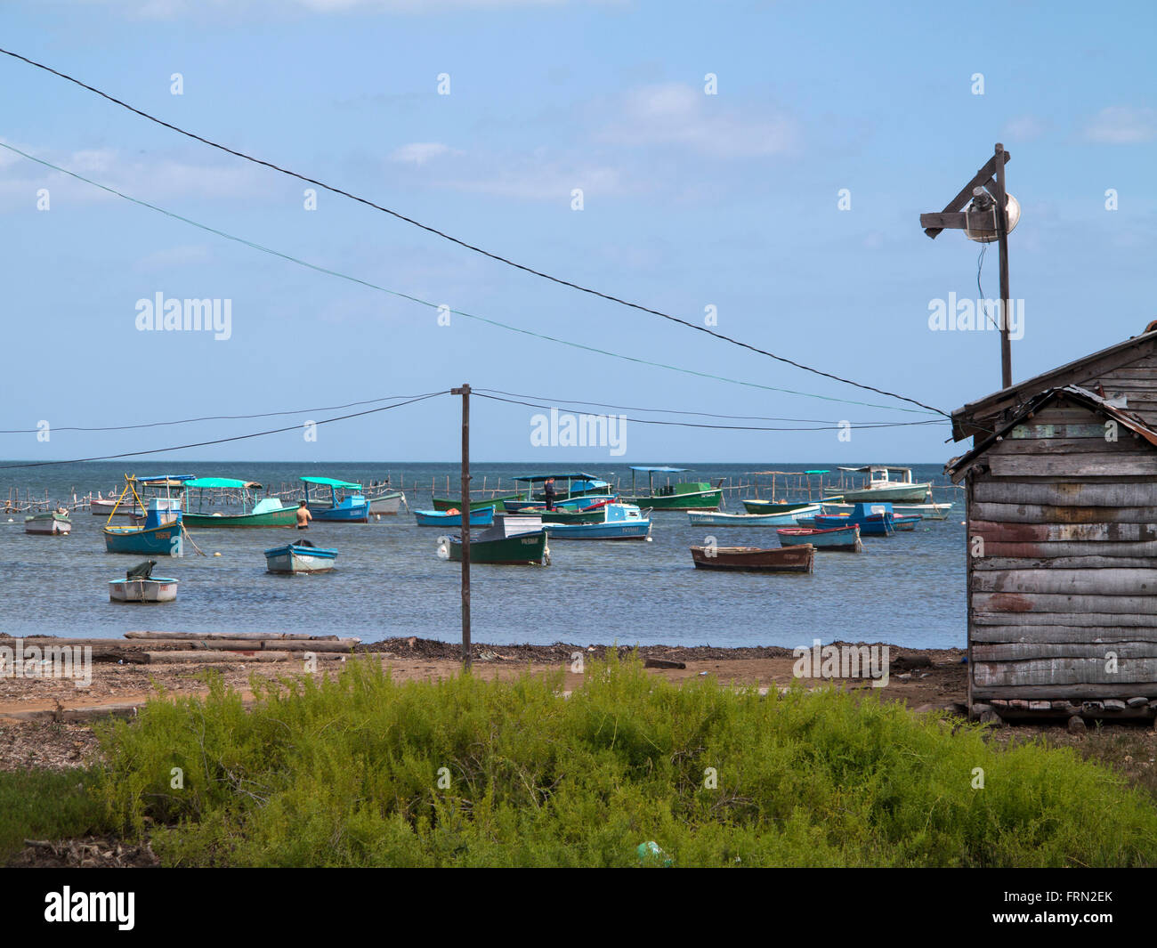 Cuba Puerto Esperanza Pinar del Rio Foto Stock