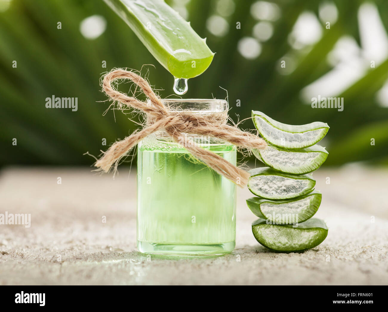 Aloe vera olio essenziale sulle foglie tropicali sfondo Foto Stock