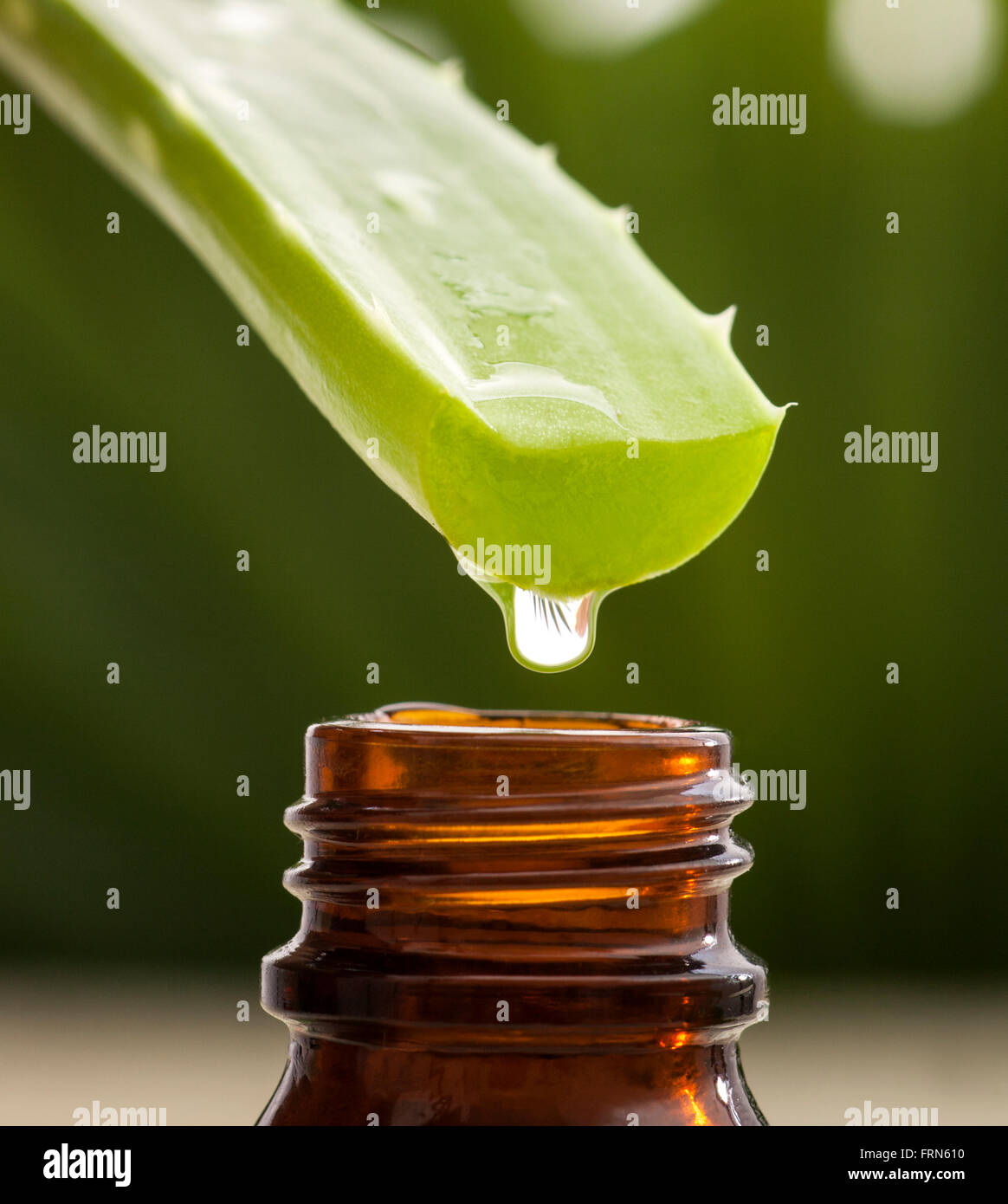 Aloe vera olio essenziale sulle foglie tropicali sfondo Foto Stock