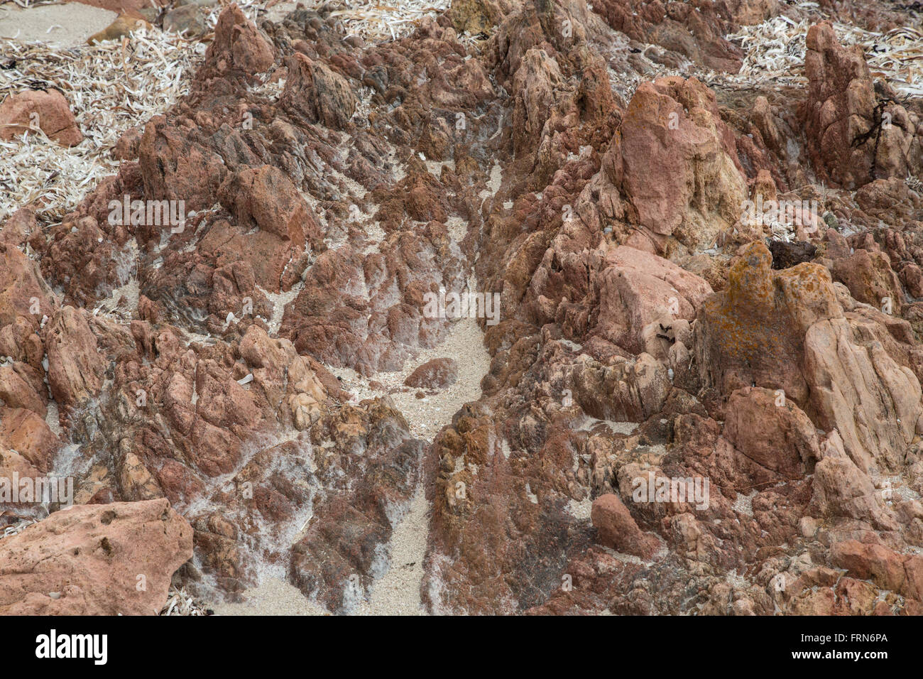 Rocce di origine vulcanica sulla spiaggia con sabbia e alghe, Geologia trail Port Victoria Australia Foto Stock