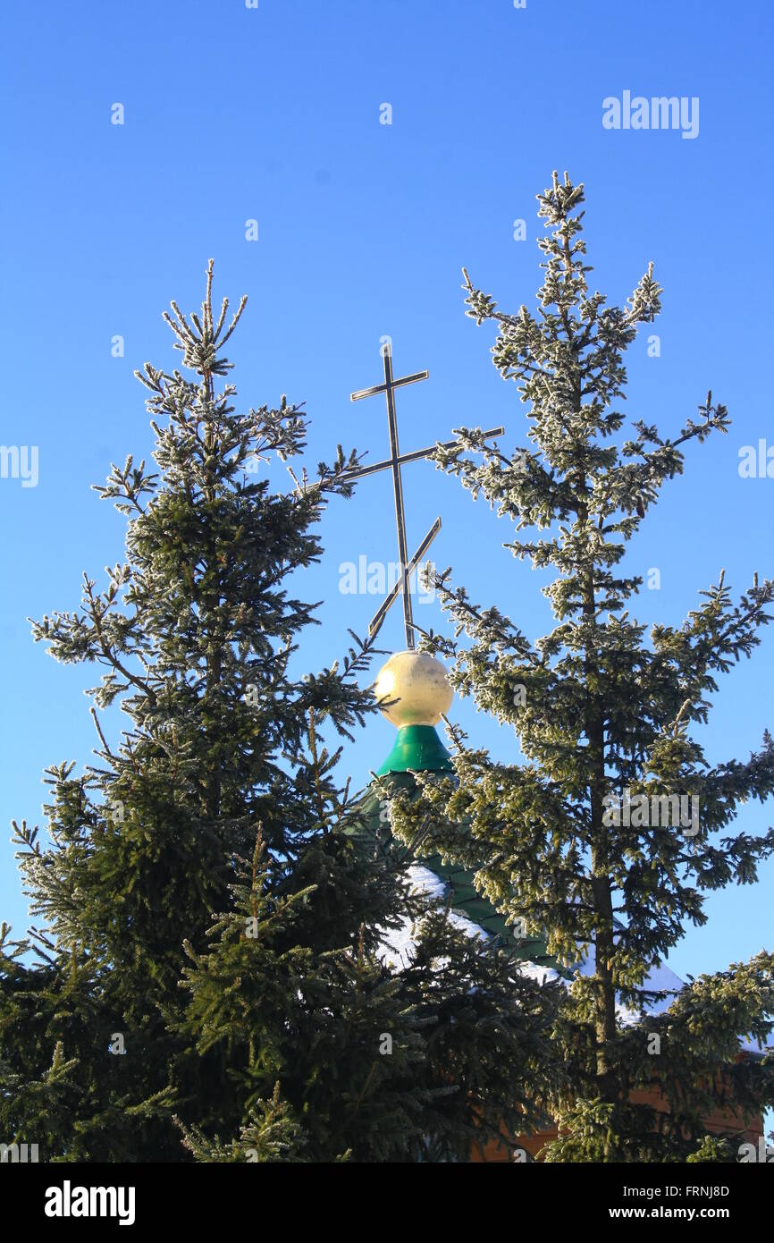 Croce ortodossa su una piccola cupola tra due abeti Foto Stock