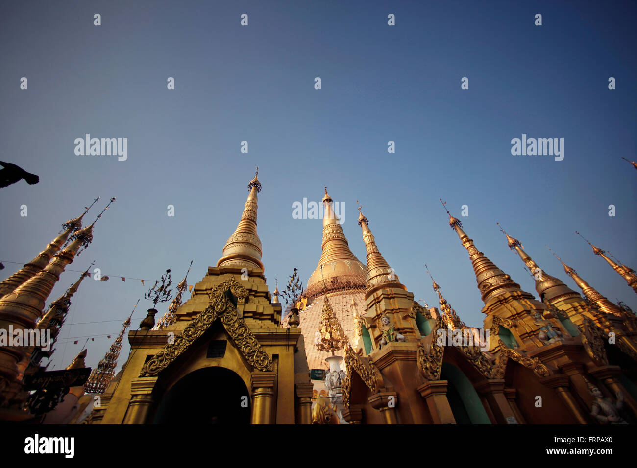 La Shwedagon pagoda in Myanmar Yangoon Foto Stock