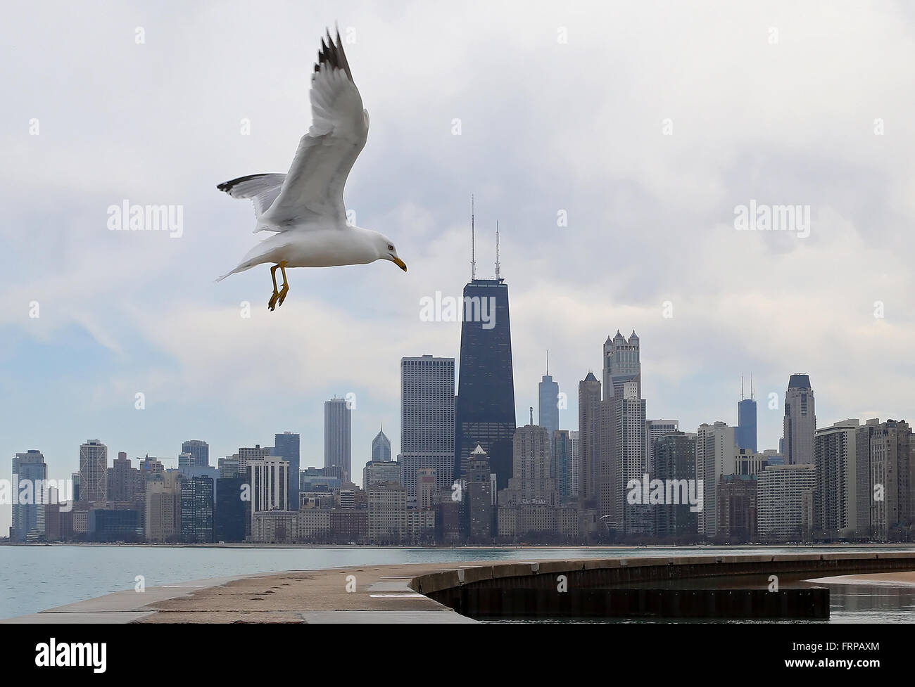 Un gabbiano vola in passato il centro di Chicago skyline su un poco nuvoloso pomeriggio come si vede dal North Avenue Beach. Foto Stock