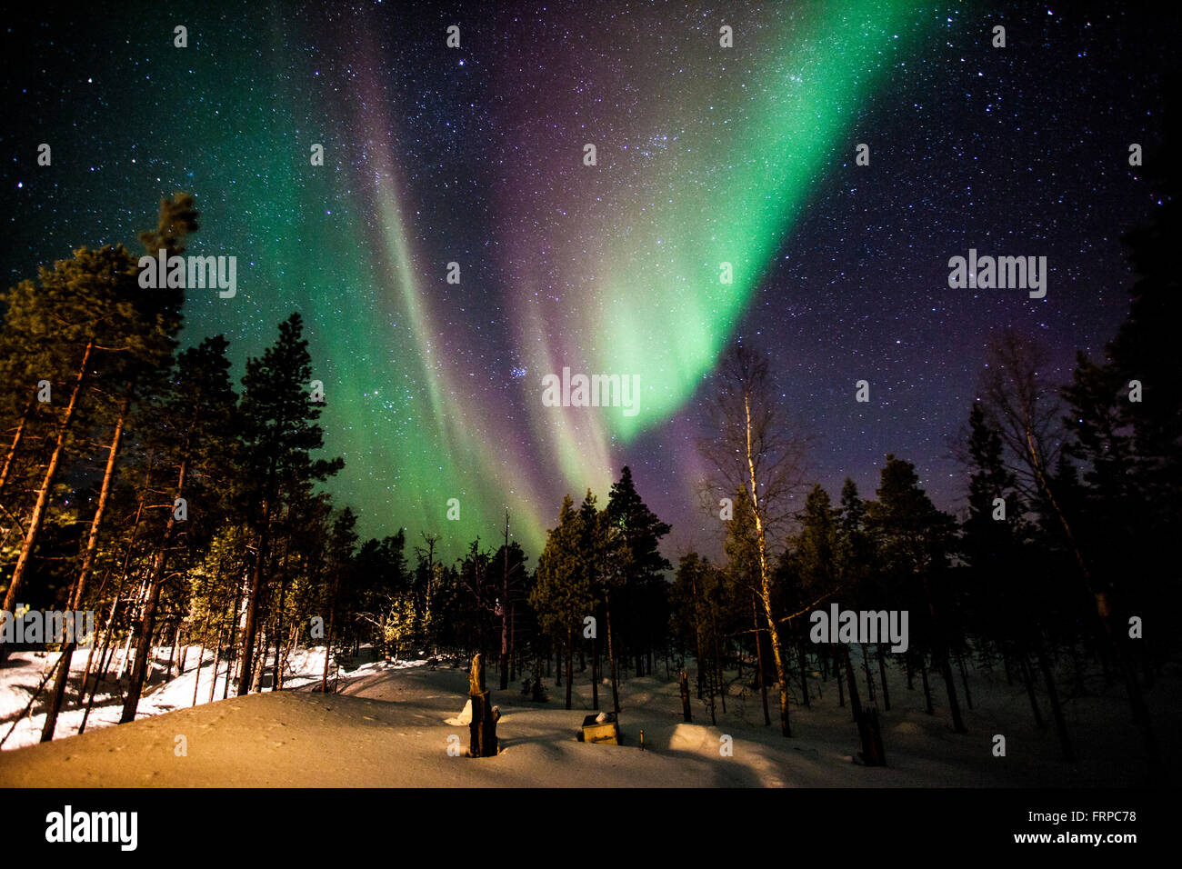 Luci del nord nella Lapponia finlandese Foto Stock
