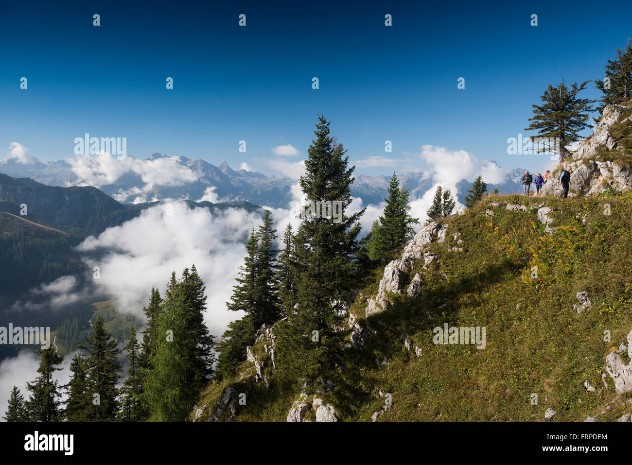 Su Jenner affacciato sulla sulle Alpi di Berchtesgaden, Parco Nazionale di Berchtesgaden, Berchtesgadener Land district, Alta Baviera, Baviera Foto Stock
