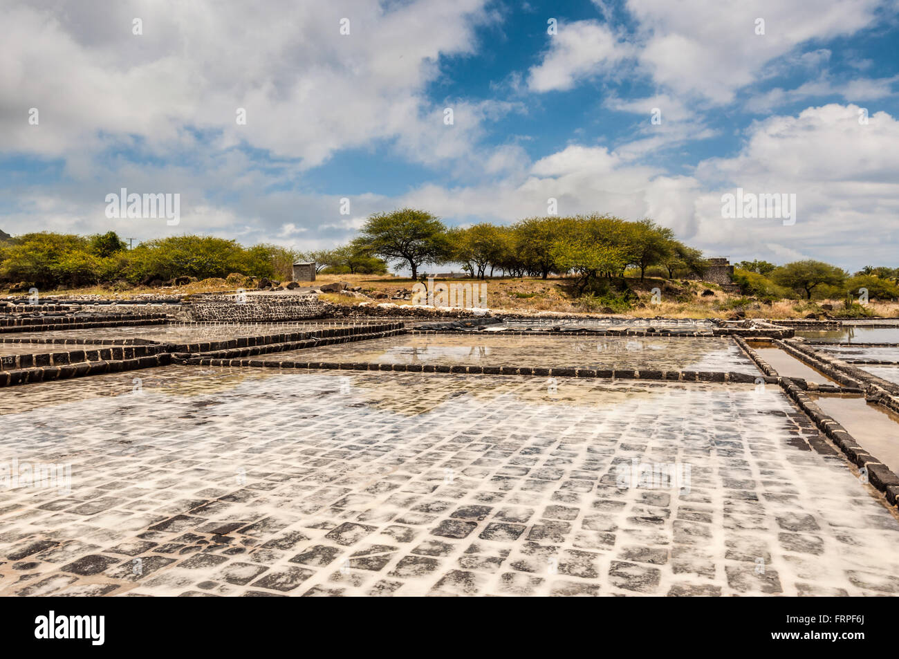 Estrazione del sale dell'isola di Mauritius Foto Stock