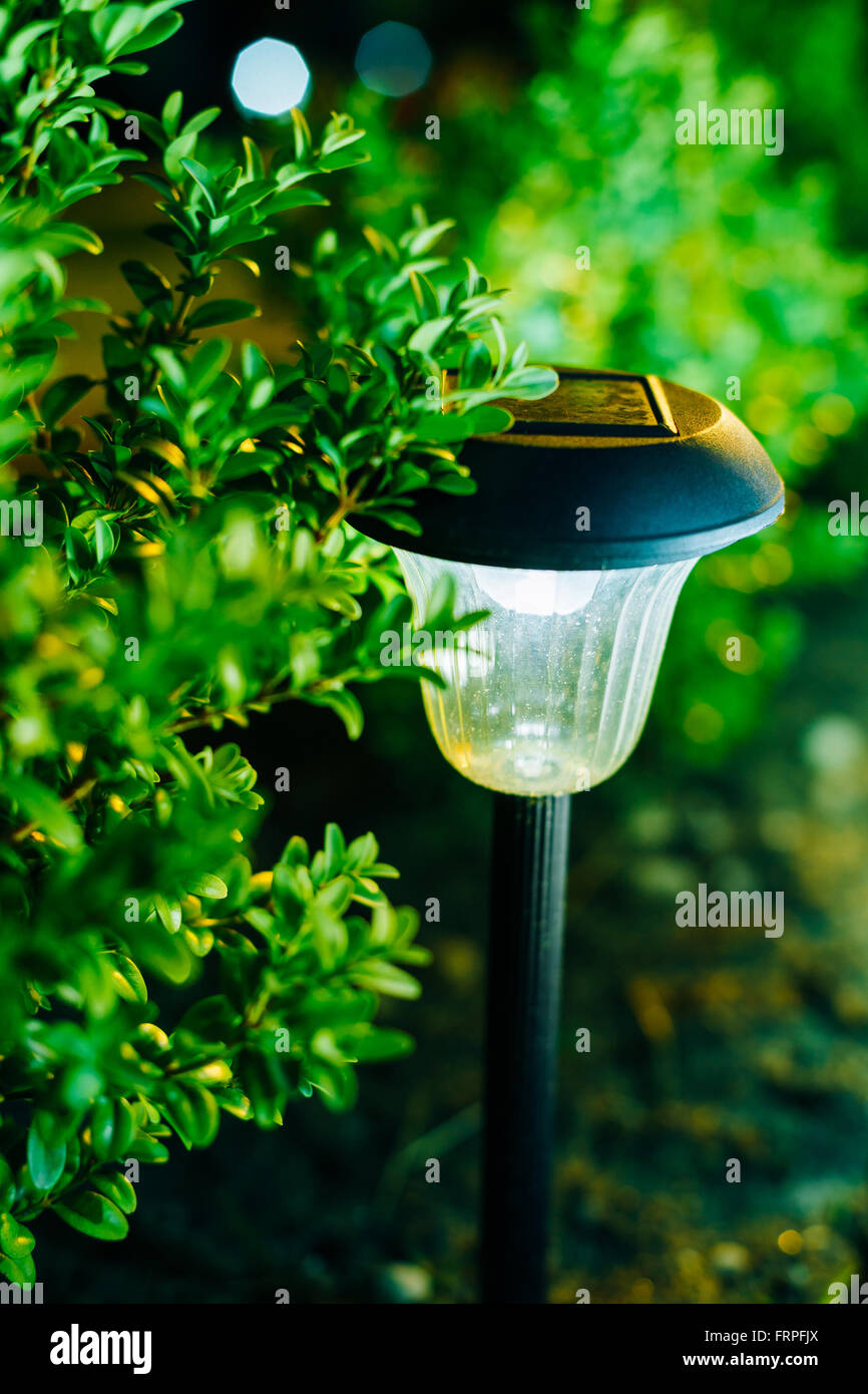 Piccolo giardino luce solare, lanterne nel letto di fiori. Garden Design. A energia solare lampada Foto Stock