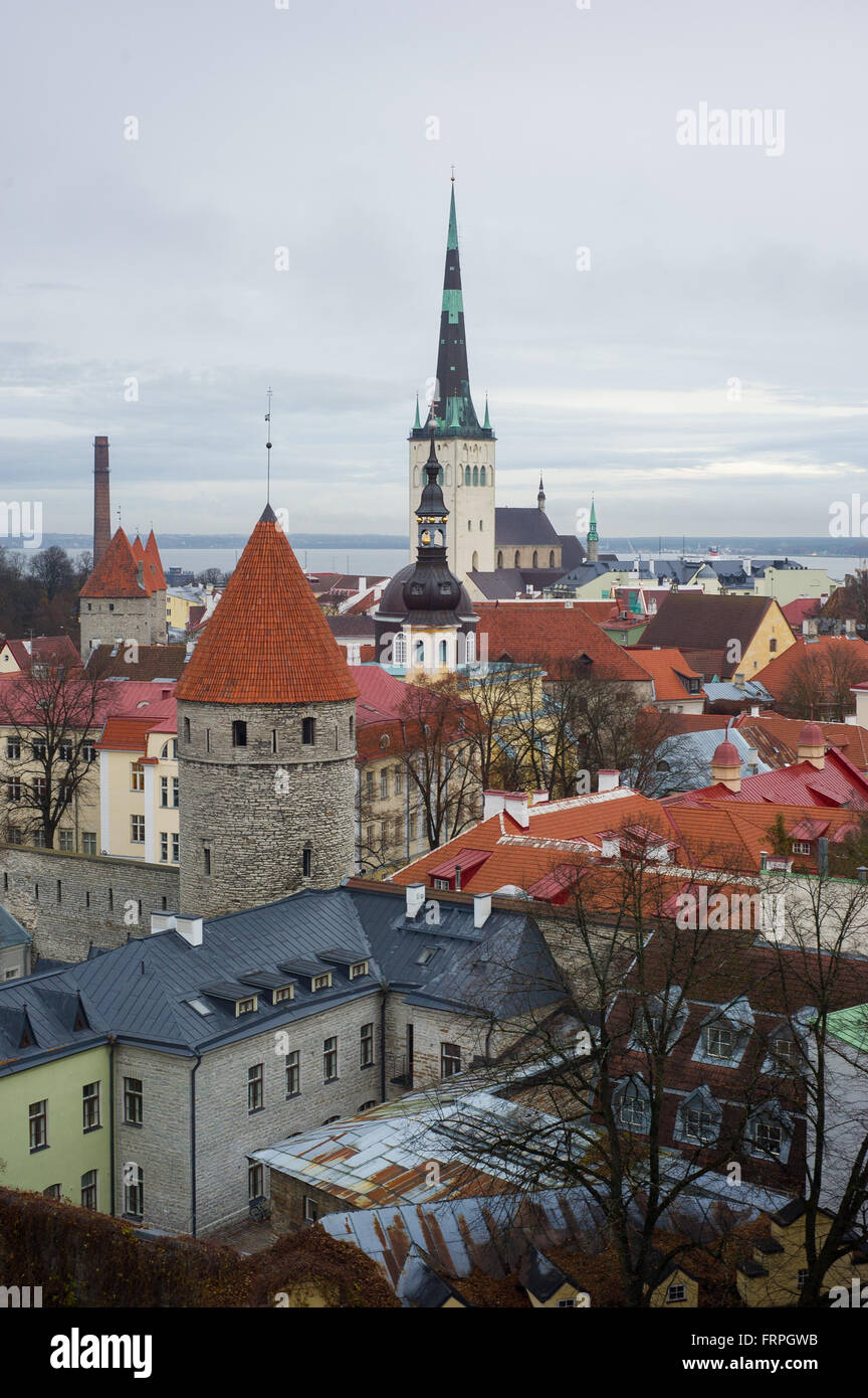 Tallinn, Estonia, Europa, Stati, Euro, moneta, Eurogruppo, post sovietico, Internet, Skype, capitale, città vecchia, mare, orth Foto Stock