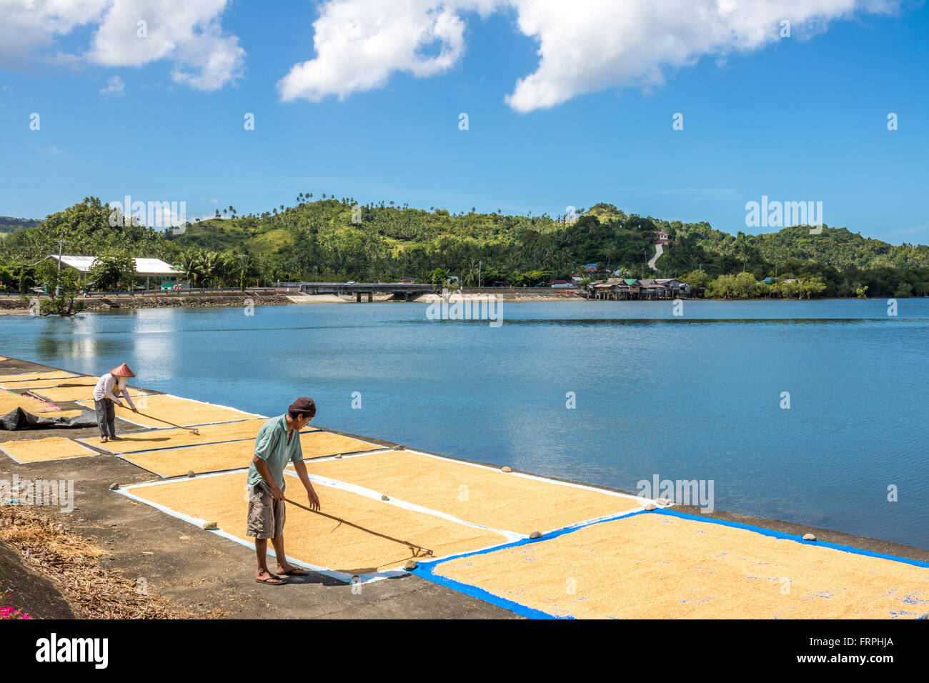 Filippine Leyte Baybay diffondendo il riso fuori ad asciugare accanto al mare Adrian Baker Foto Stock