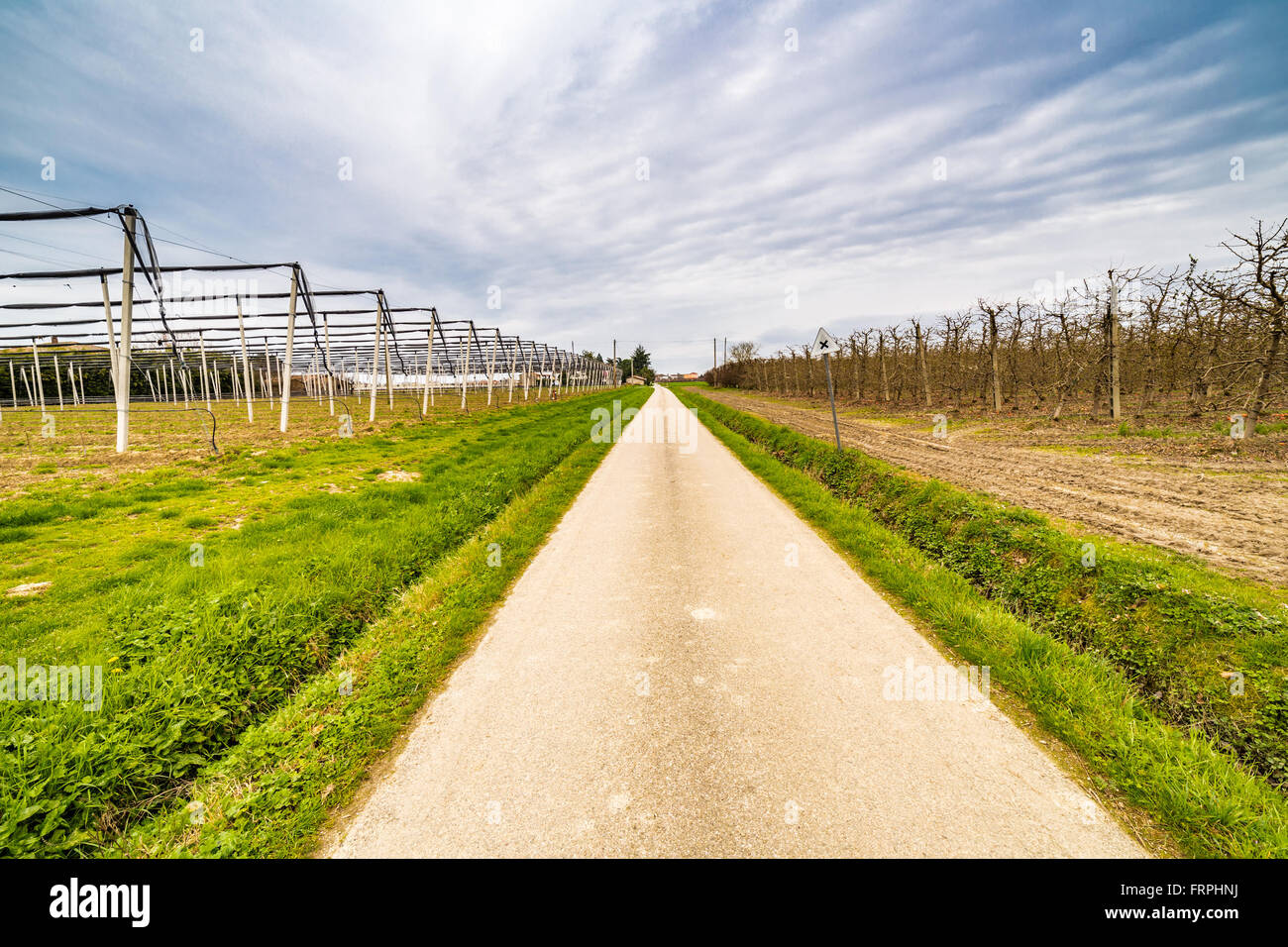 L'agricoltura moderna organizza campi in geometrie regolari di frutteti che preannuncia l'arrivo della primavera con il primo blumi Foto Stock