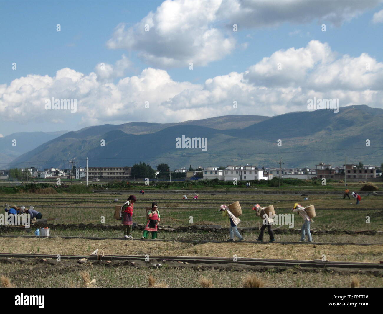 Le donne cinesi lavoratori,nella provincia dello Yunnan Foto Stock