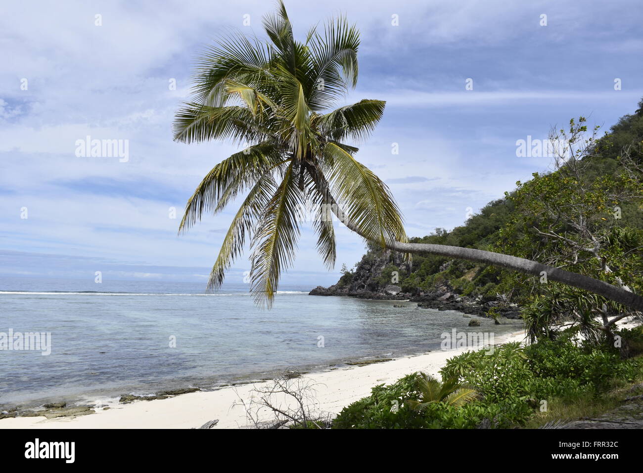 Un orlata di palme isola sul Mamanucas nelle isole Figi Foto Stock