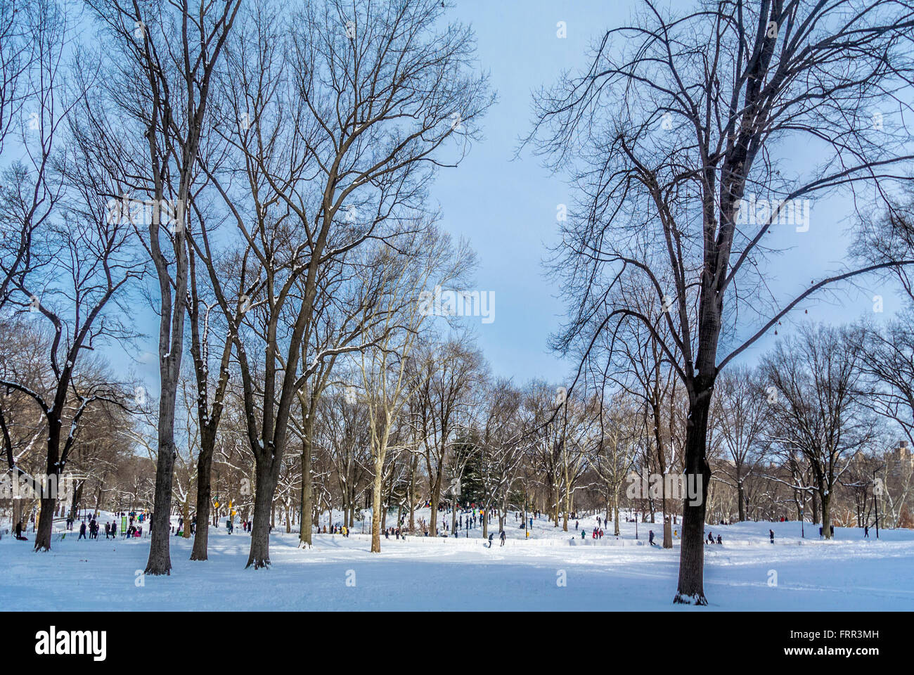 Central Park in inverno coperto di neve, New York City, Stati Uniti d'America. Foto Stock