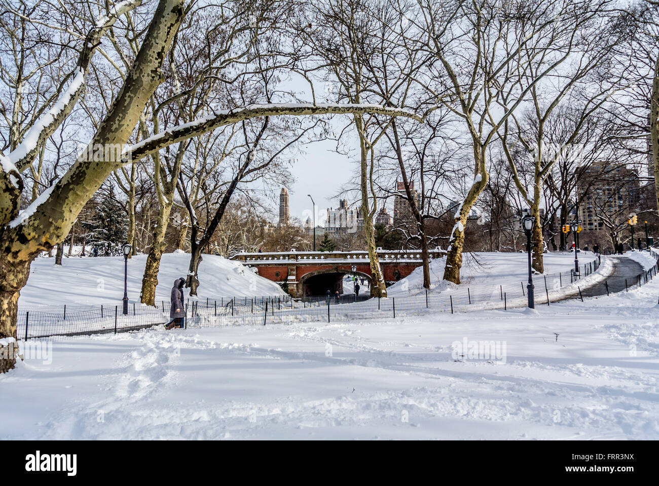Central Park in inverno coperto di neve, New York City, Stati Uniti d'America. Foto Stock